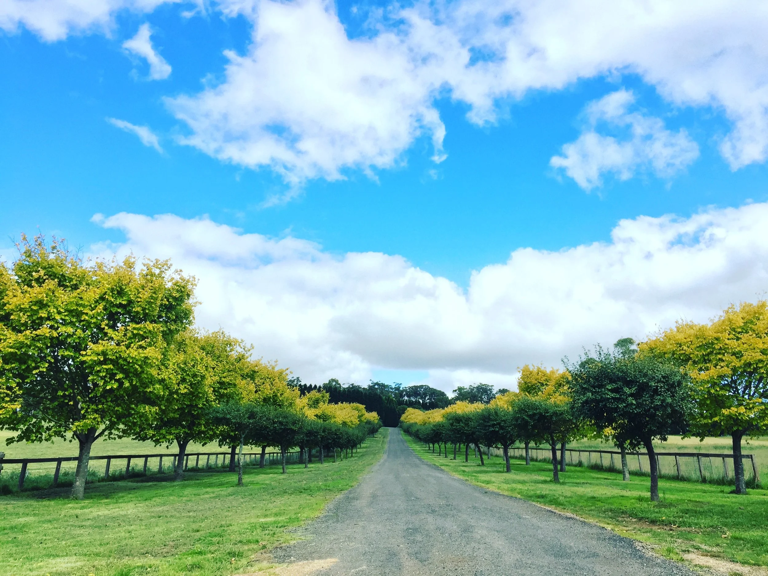 Thinking about Vulnerability 