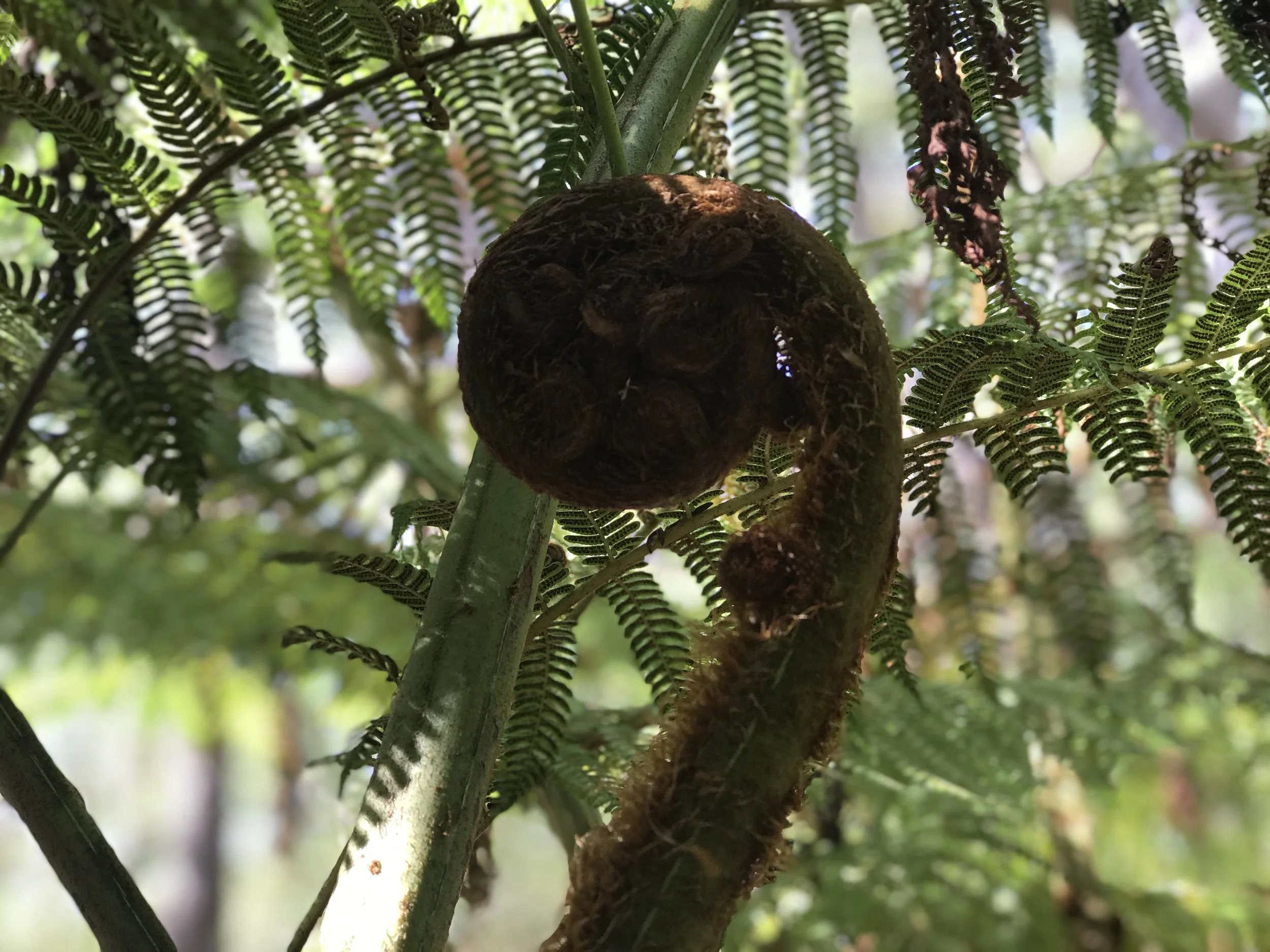 Breaking the cycle and living without a safety net... 