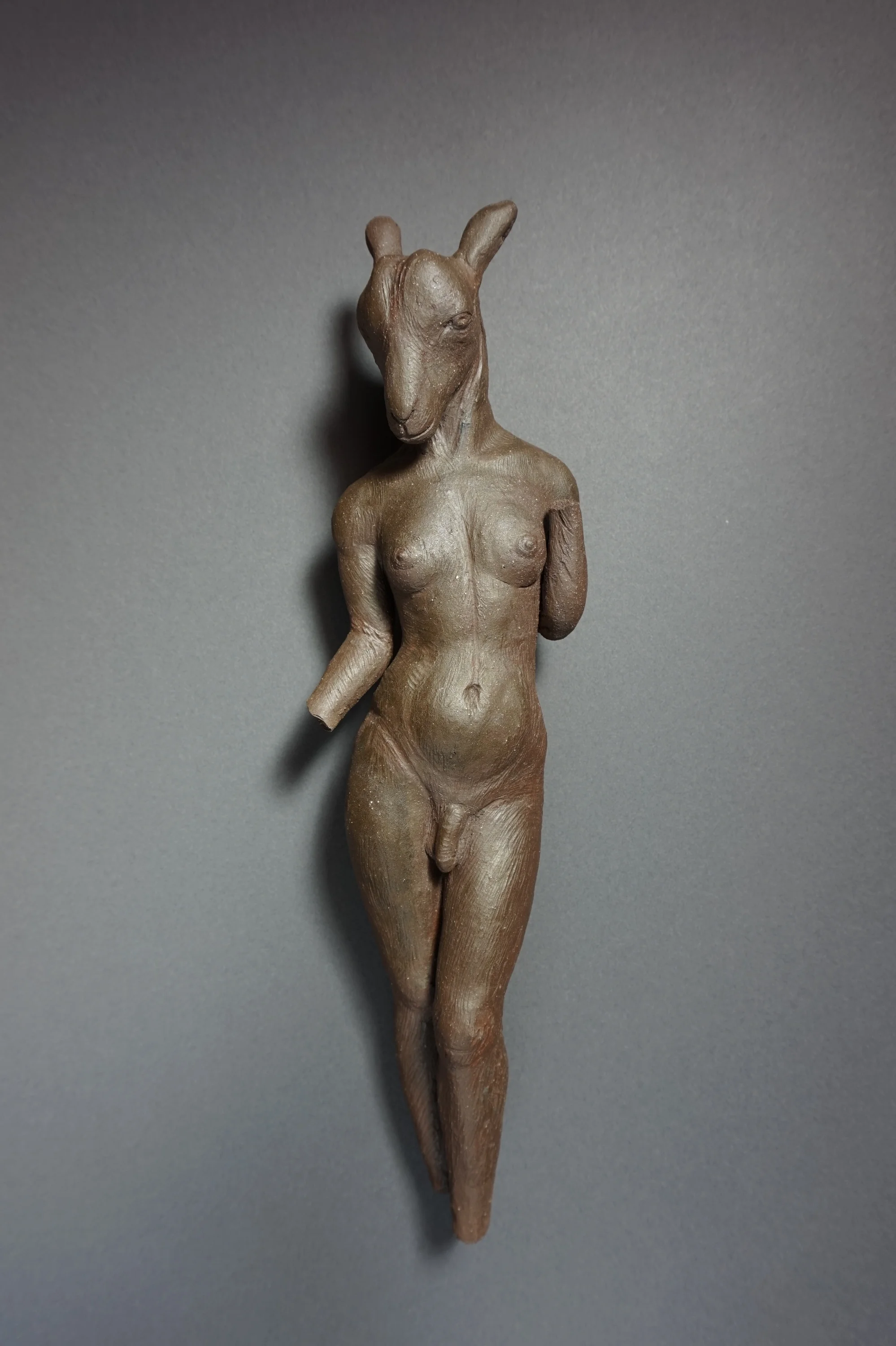 Venus