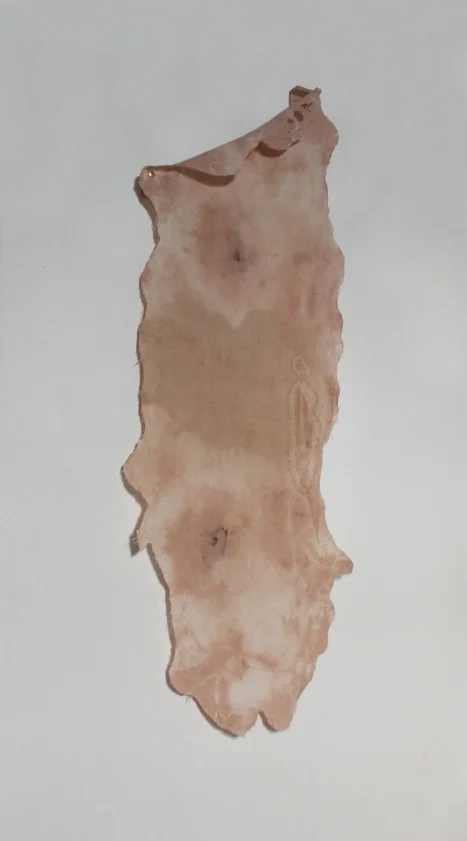 the hide , 3.5' x 1.5' (2" depth), muslin, avocado dye, iron, alum, wood