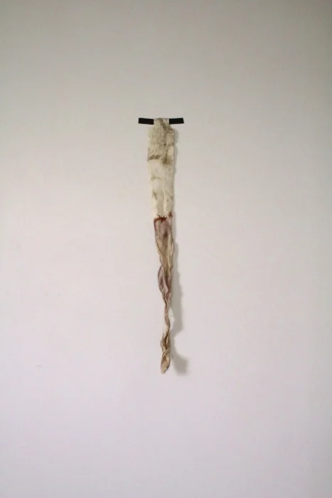   grief effigy,  3 x 28 ", &nbsp; muslin, blood, hibiscus, cotton thread,&nbsp;black tape 