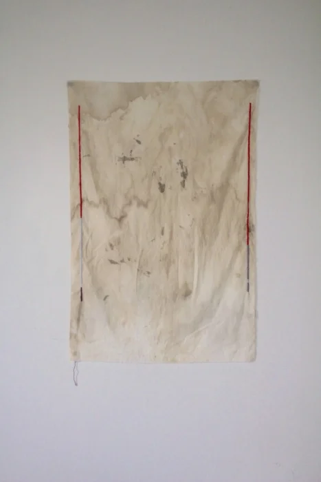   bath,&nbsp; 2 x 2.5' , muslin, cotton thread, hibiscus, iron mordant, blood 