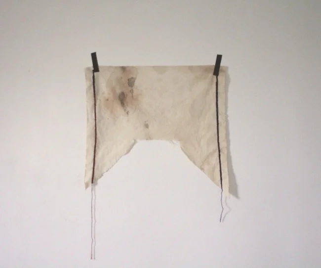   two lines to get from home,&nbsp; 2 x 2', muslin, hibiscus, iron mordant, blood, cotton thread, black tape 