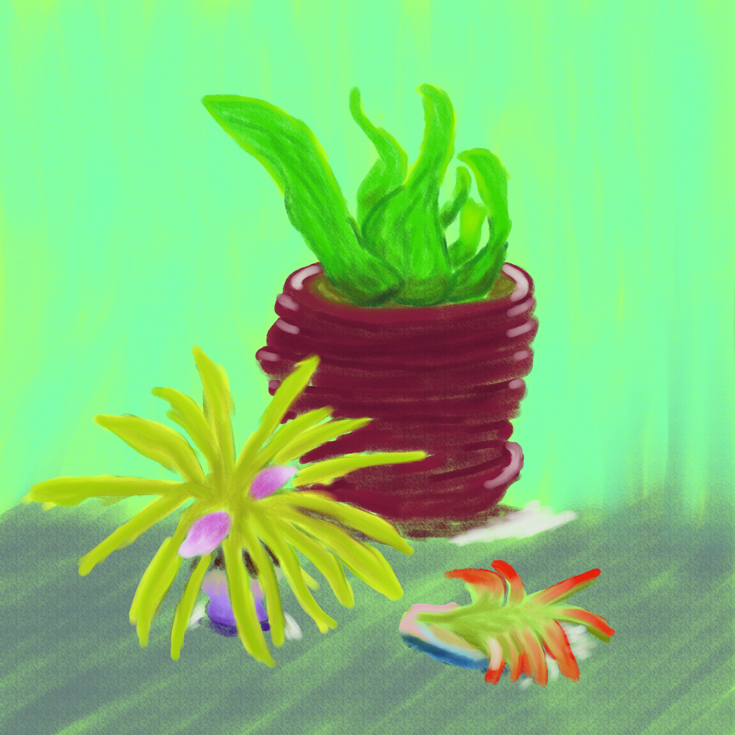 succulentstilllife.jpg