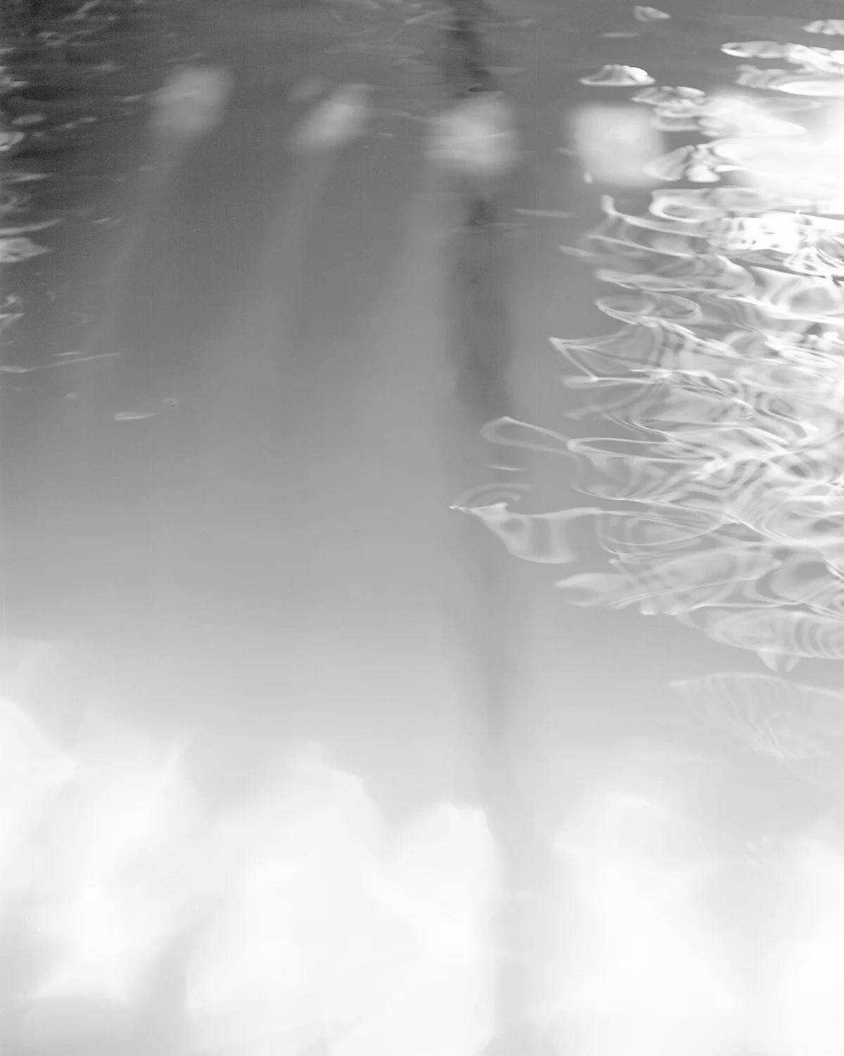 SarahRoseRobertson_PoolDreams_003.jpg