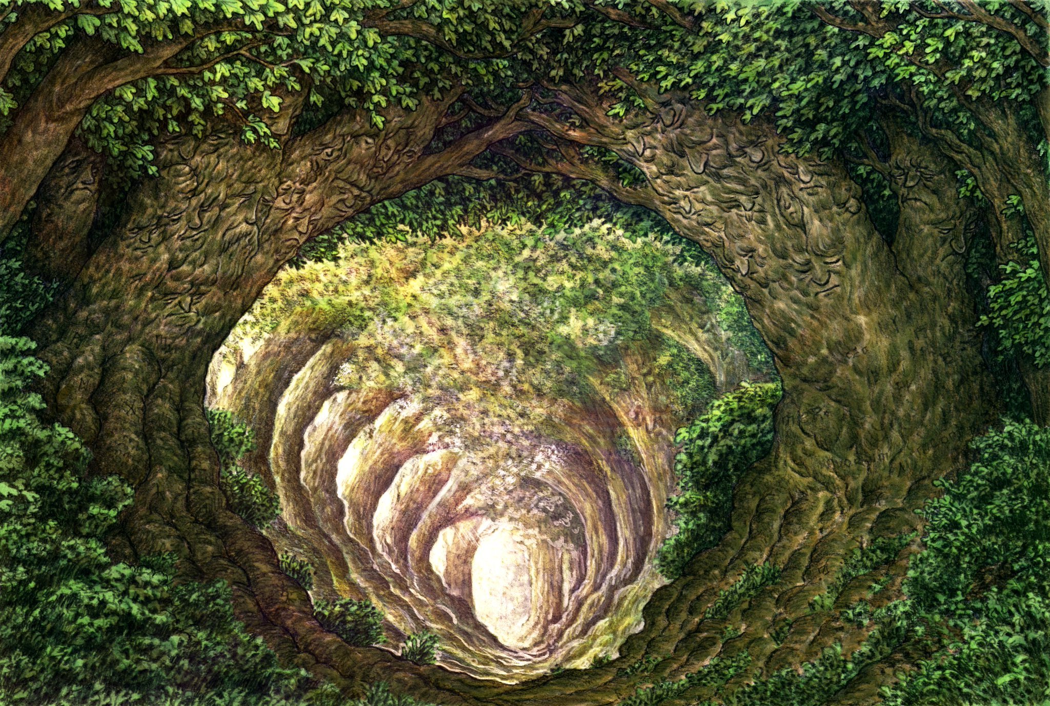 The Forest Gate