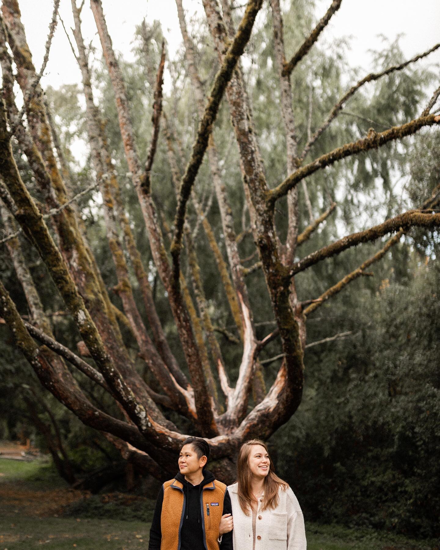 Can&rsquo;t get enough of these two! Excited to see you both today, S + M 🫠🫠🫠
.
.
.
.
.

#seattle #seattlewa #seattlephotographer #seattleweddingphotographer #portrait #portraitphotographer #seattleportraitphotographer #engagement #seattleengageme