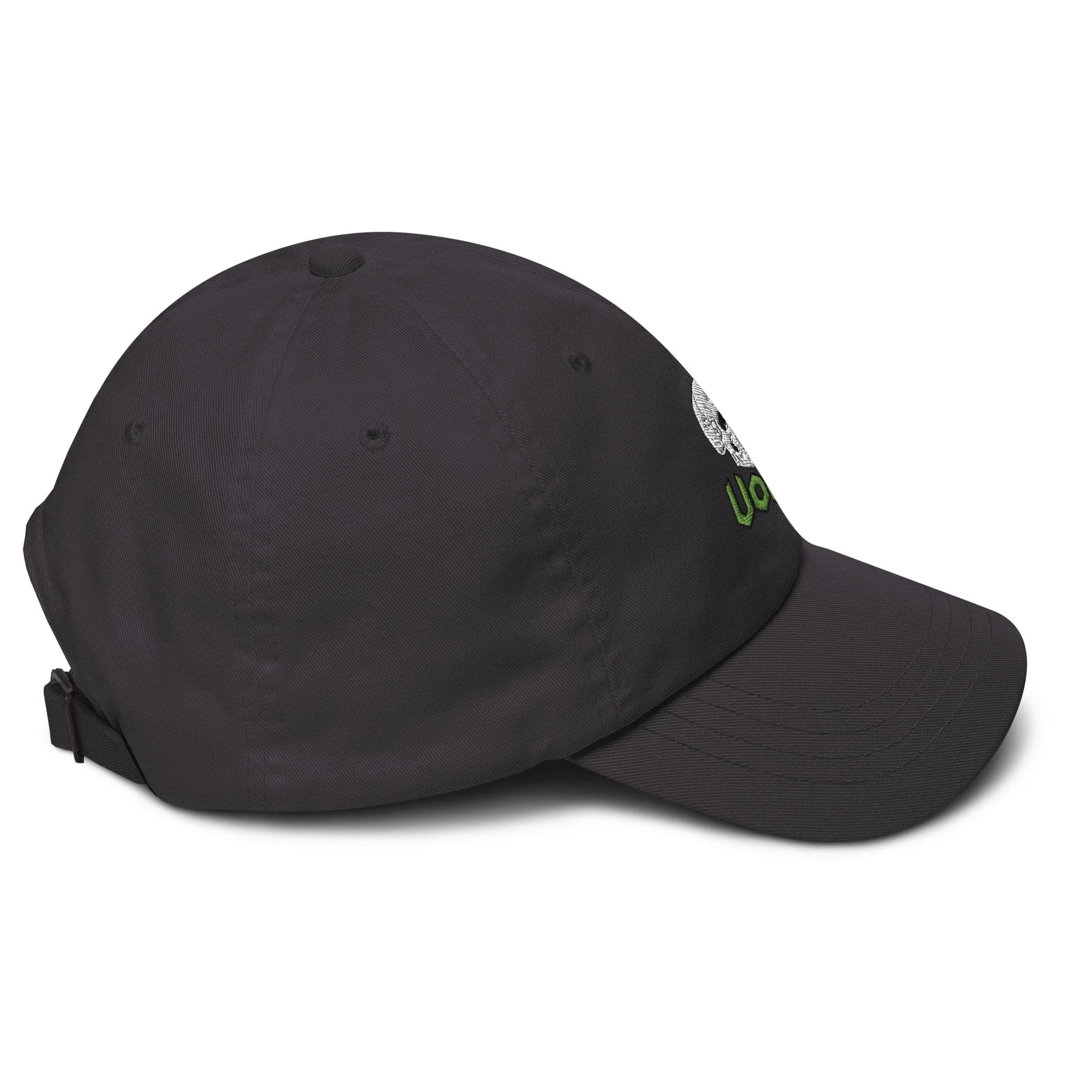 classic-dad-hat-dark-grey-right-694ee95a8310b.jpg