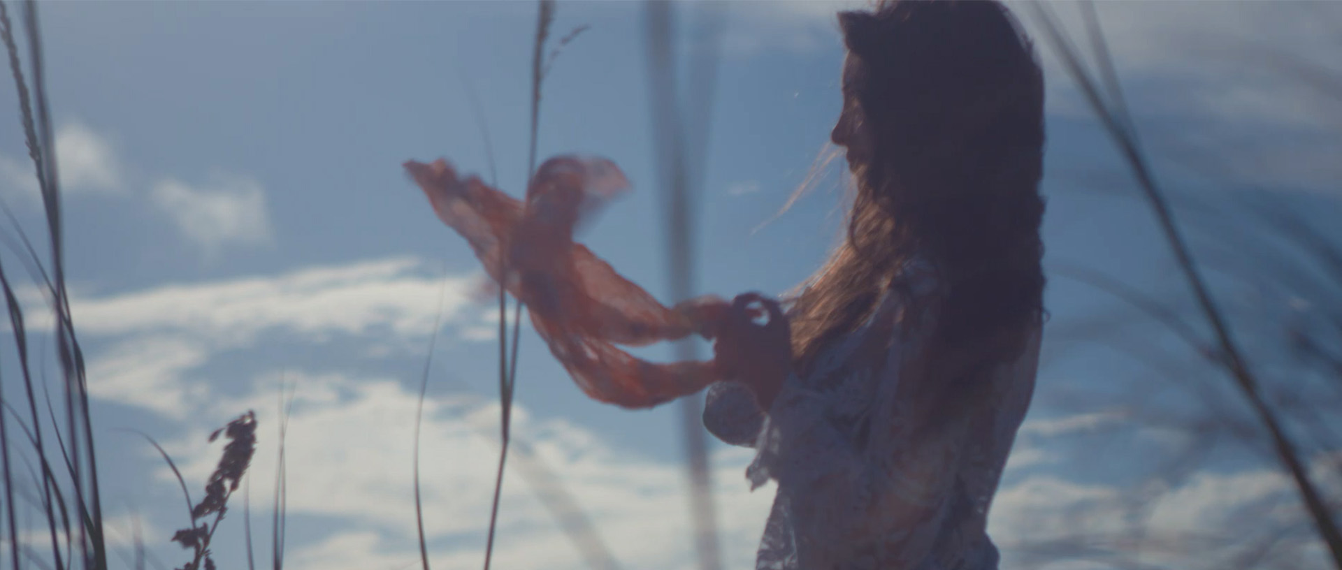 Motion Haute 27.jpg