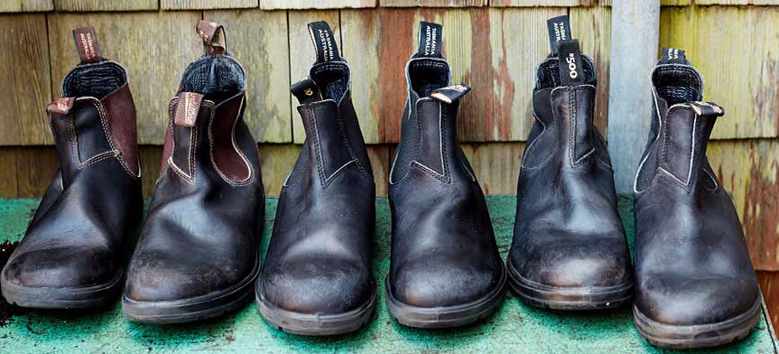 blundstones hamilton