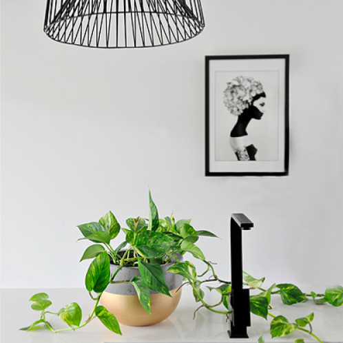 Concrete Short Pot Paint colour can be selected as top, bottom or middle band of pot. Colour choices: Black, White or Gold Medium (350mm W x 230mm H) $135.00 Large (440mm W x 310mm H) $185.00 E Large (540mm W x 360mm H) $245.00