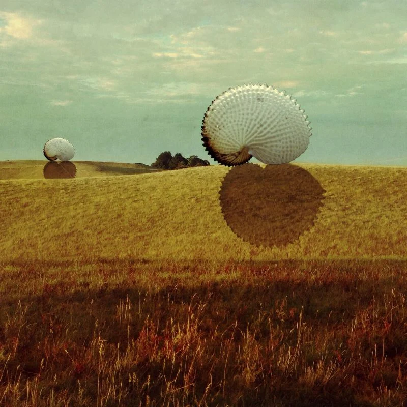 nautiluscape-iPhoneography-by-Kerry-Spokes.jpg