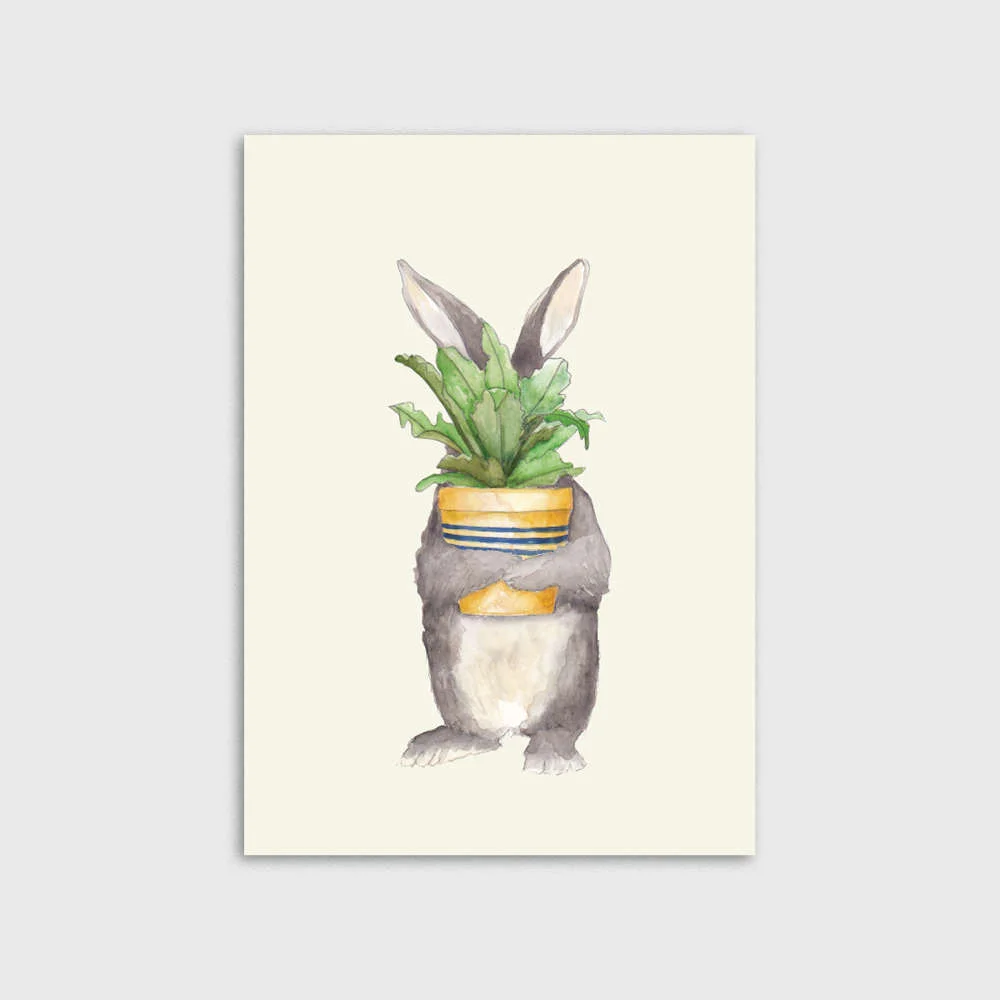 Rabbit