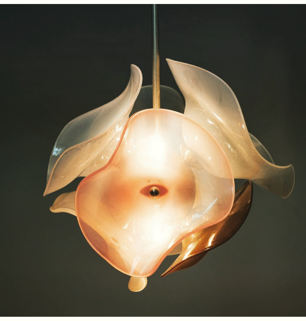 Leisa Wharington Flow 1.JPG