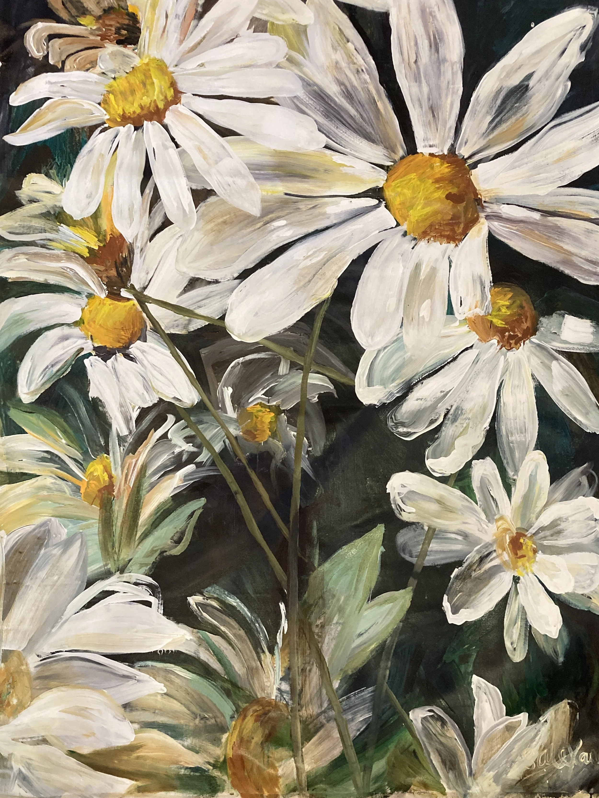 Shani Alexander - Hello, You Daisies