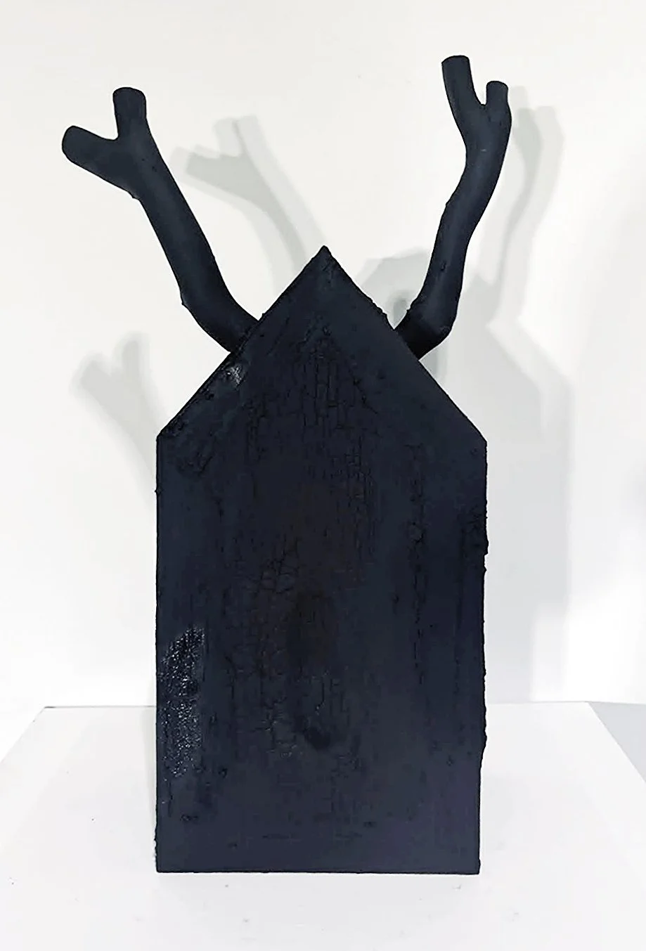 Small House with Horns.jpg