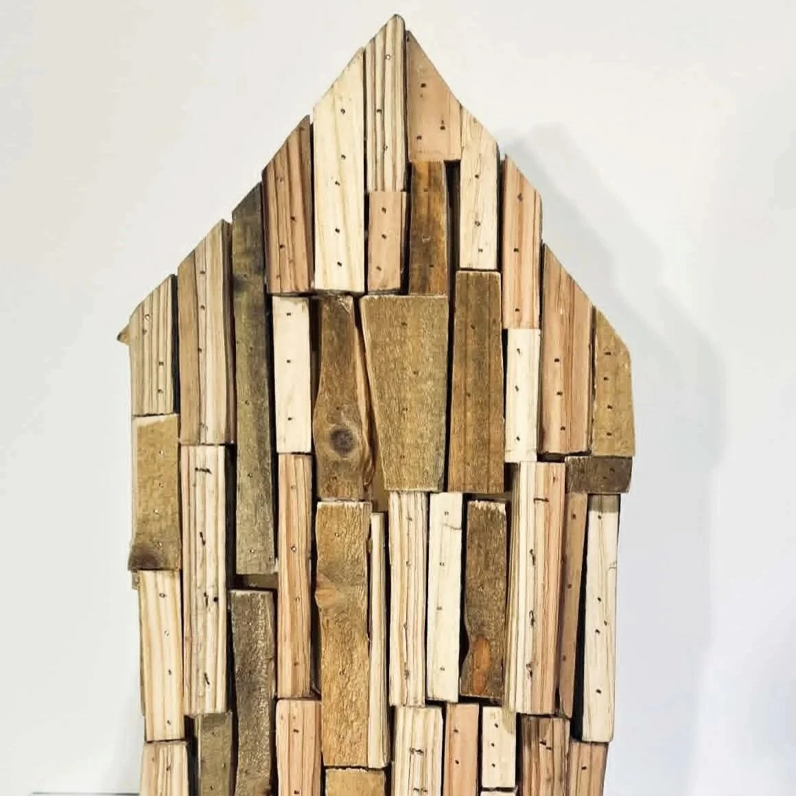 Valentin Tinc - Small House Without Windows