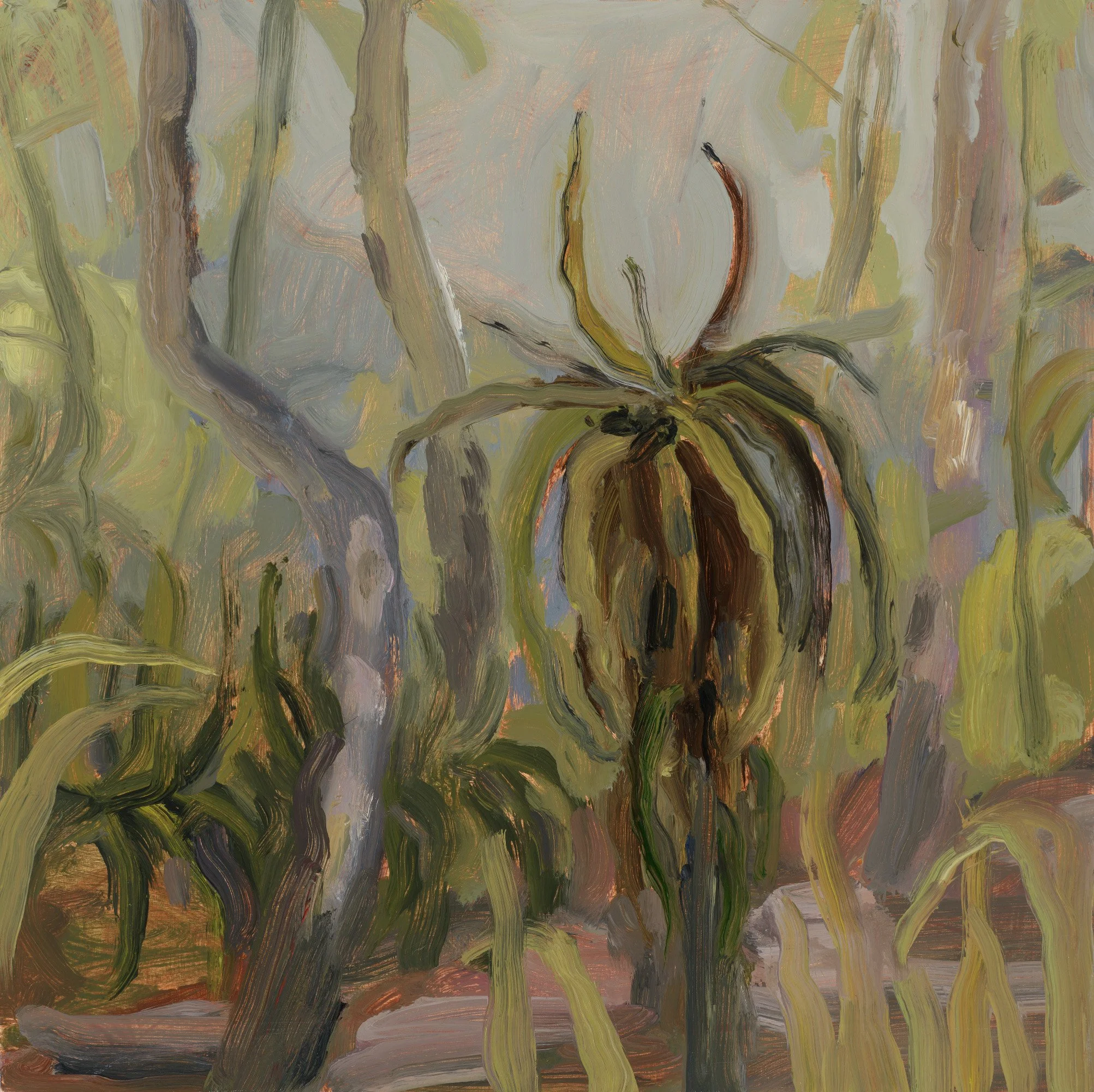Madeline Sewall - Pandani Forest Study