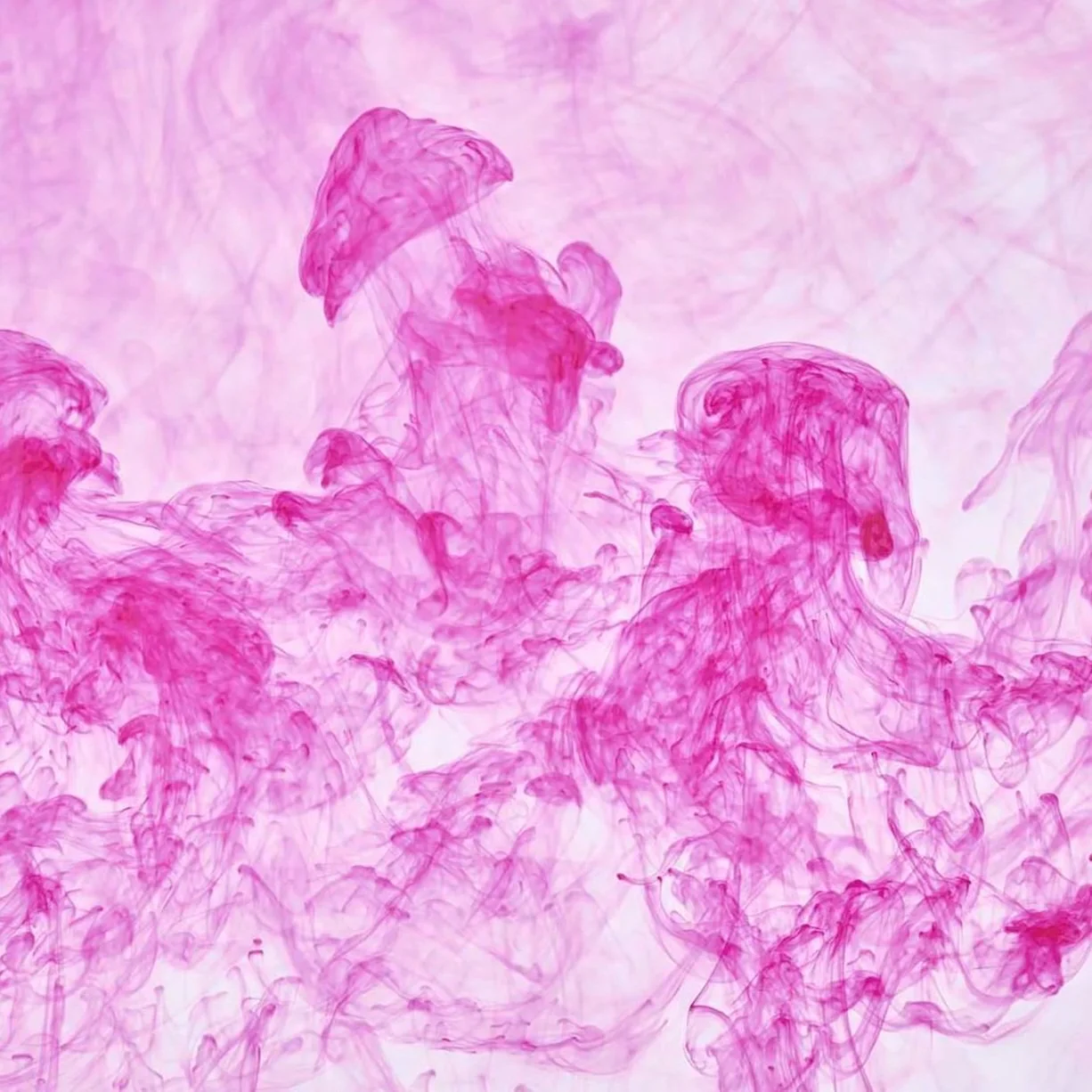 Jon Webb - Coming Up For Air