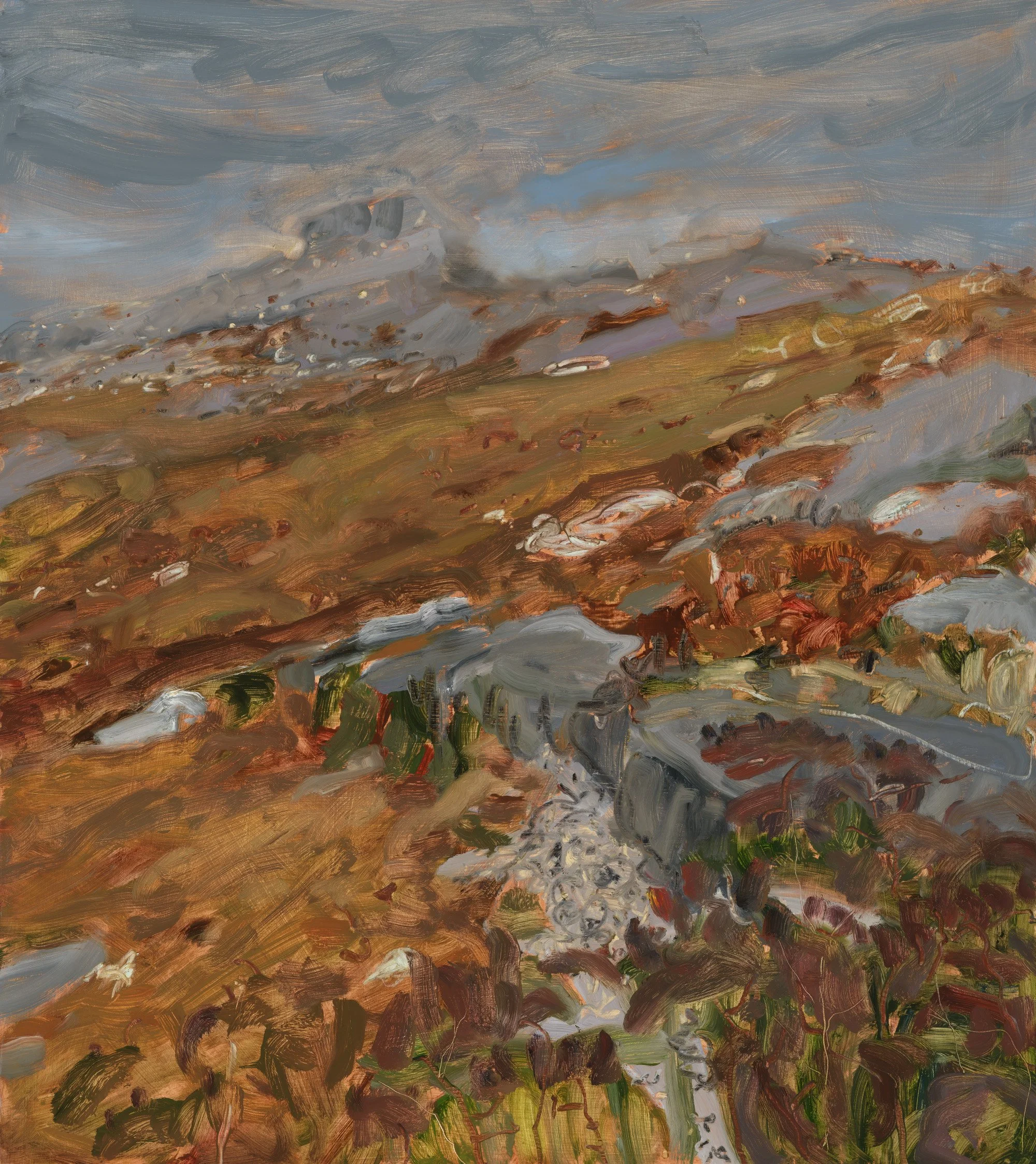 Madeline Sewall - Orange Mountaintop