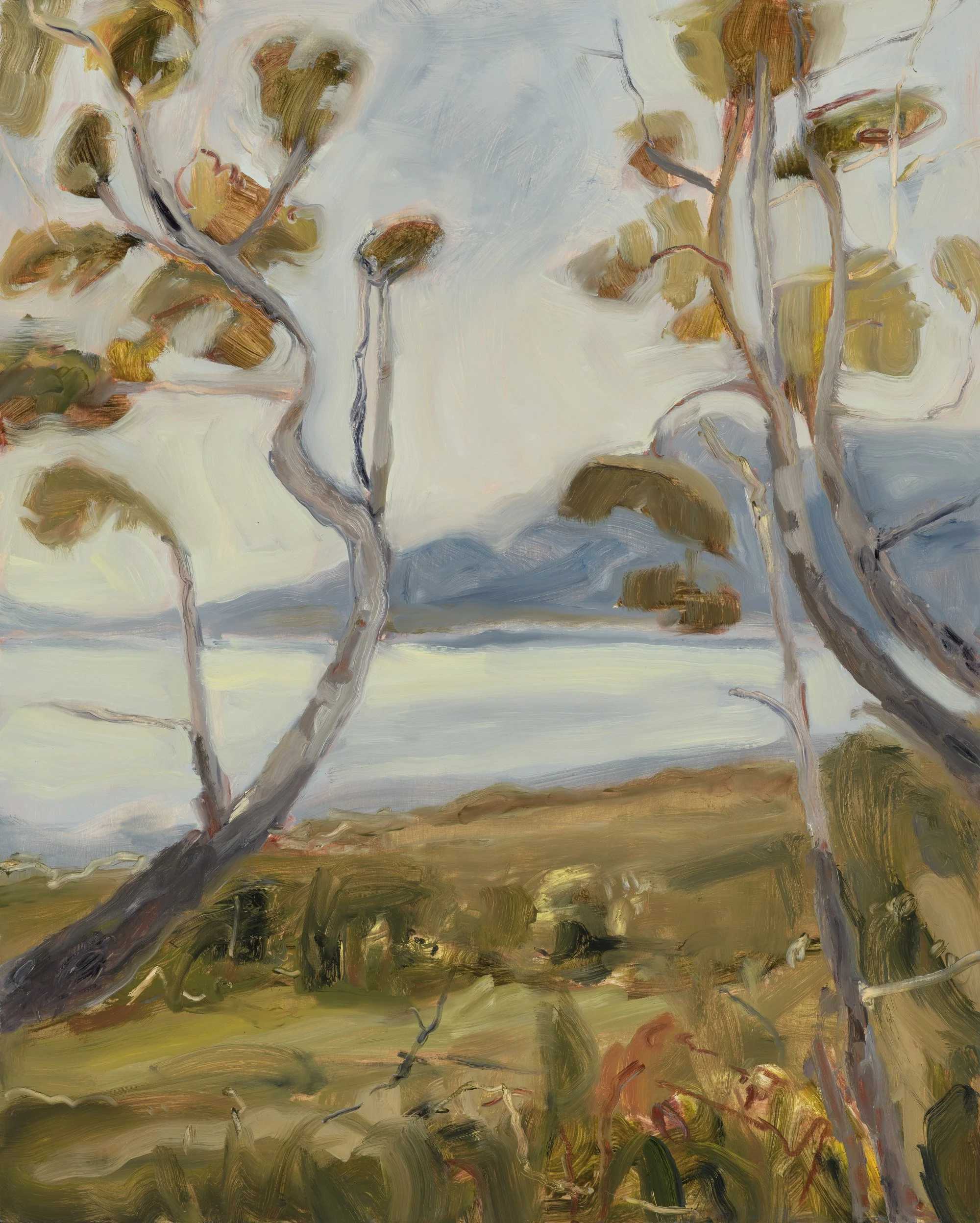 Madeline Sewall - Seaside Trees