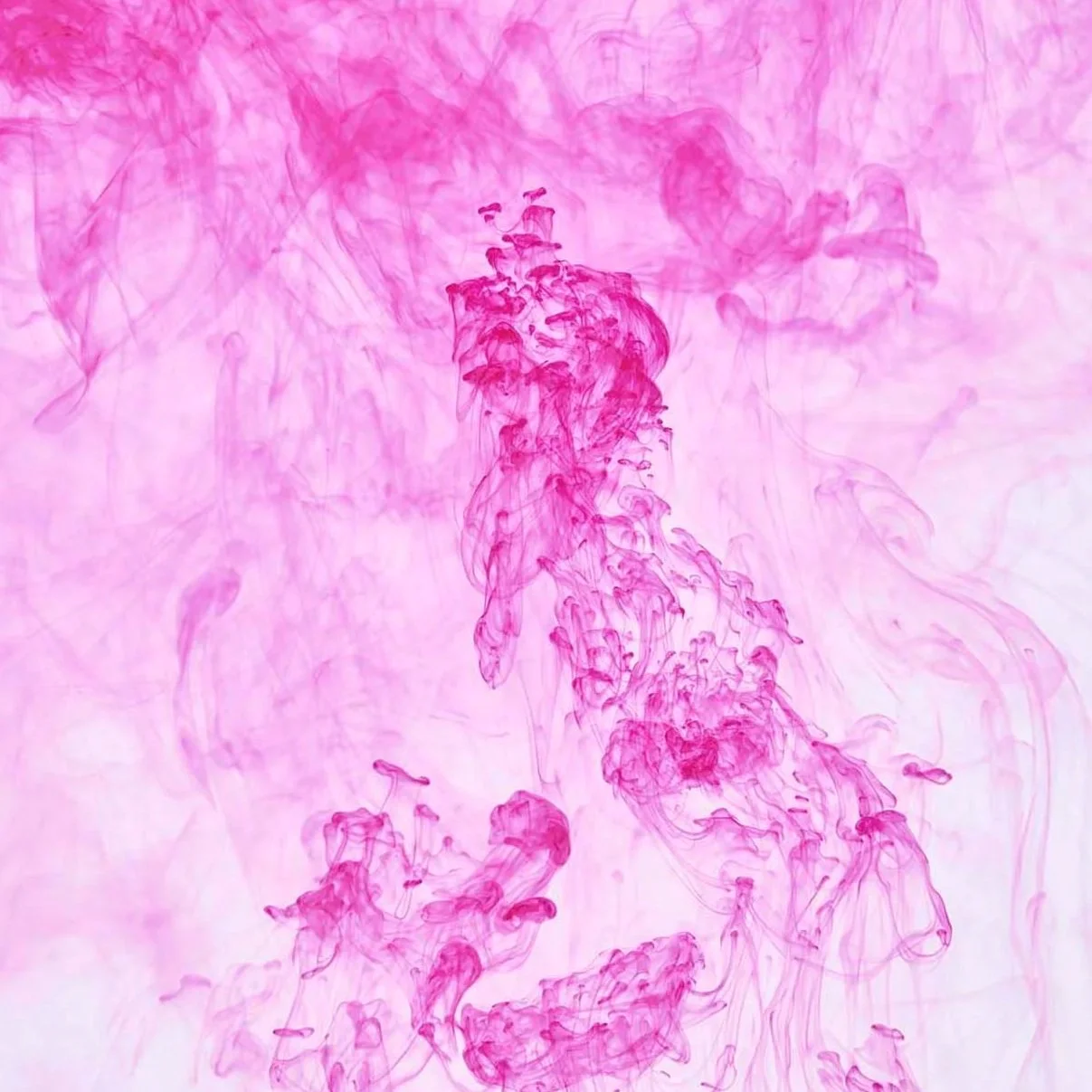 Jon Webb - Wink Wink