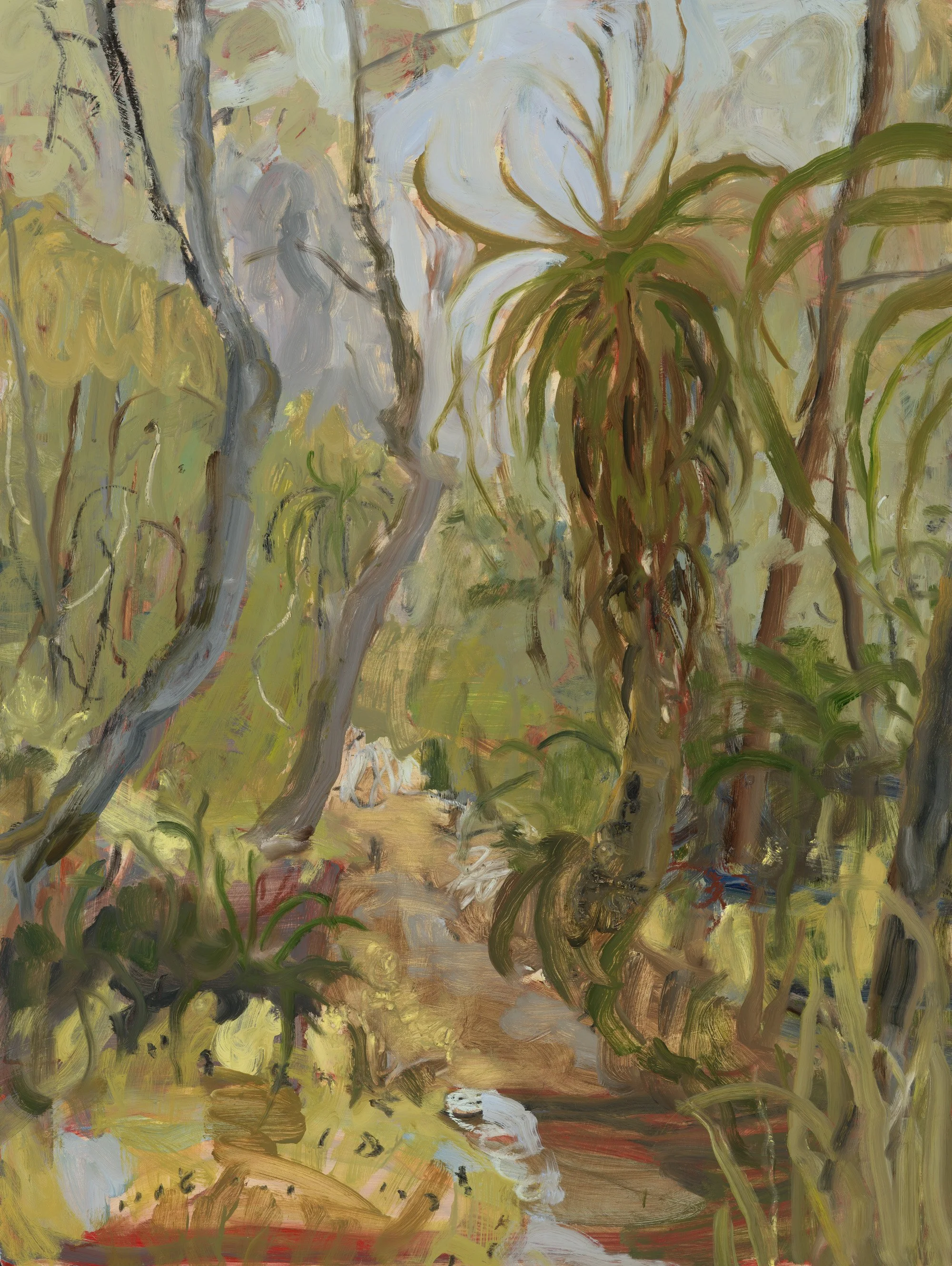 Madeline Sewall - Pandani On Trail