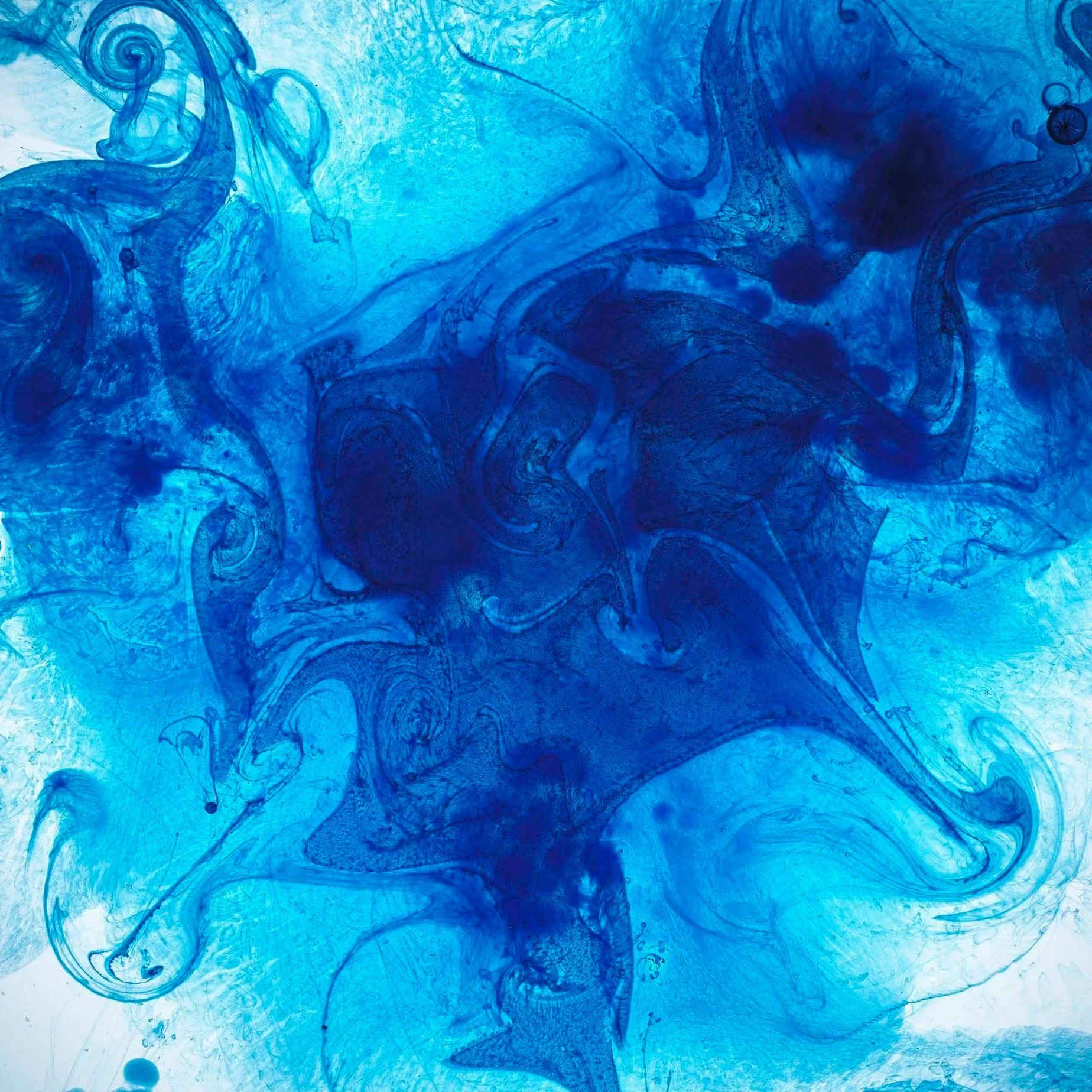 Jon Webb - Wandan Boodjar