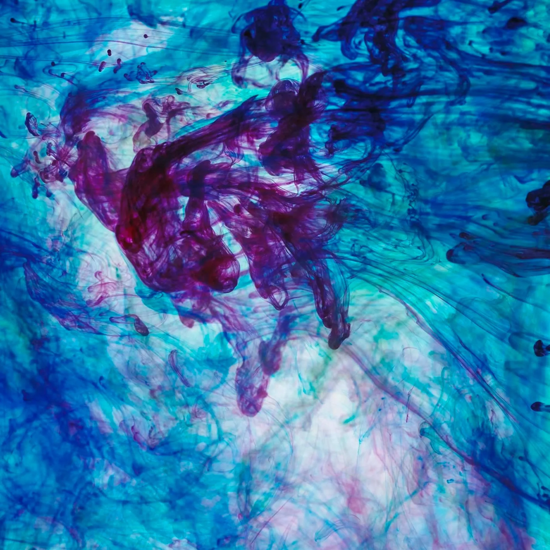 Jon Webb - Somersault