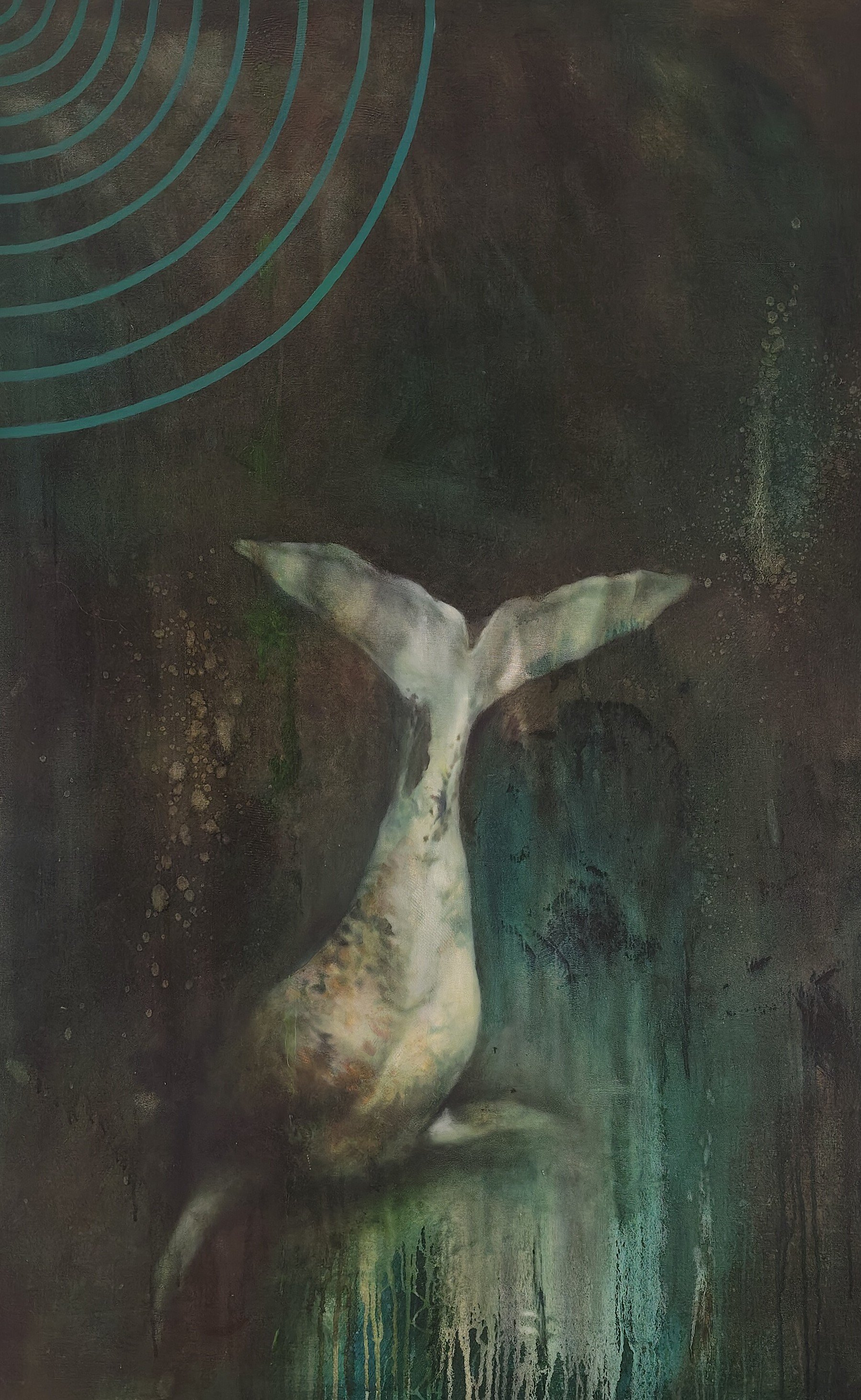 Helen Tiernan - White Tail with Sonic Waves