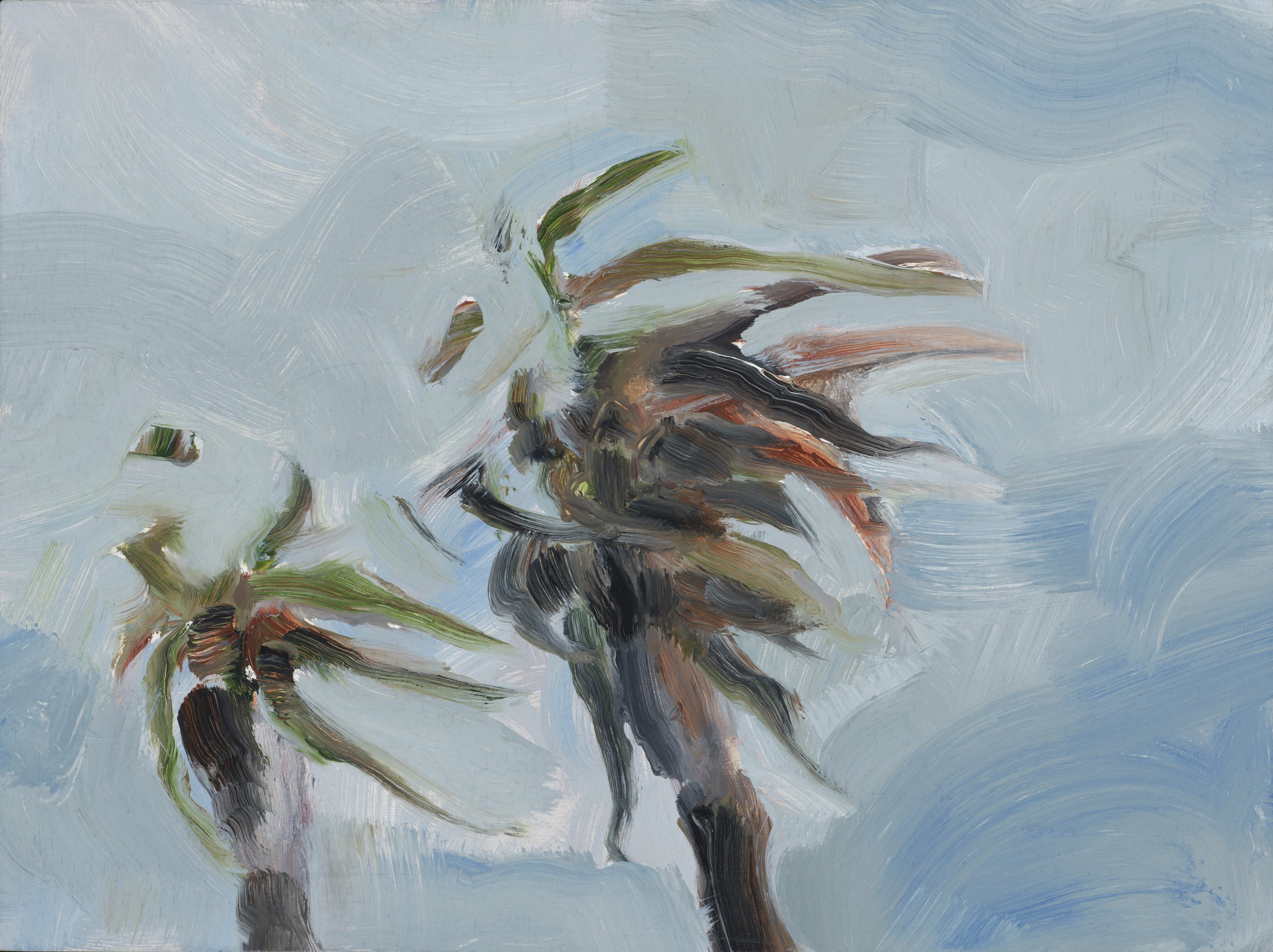 Madeline Sewall - Two Pandanis Study