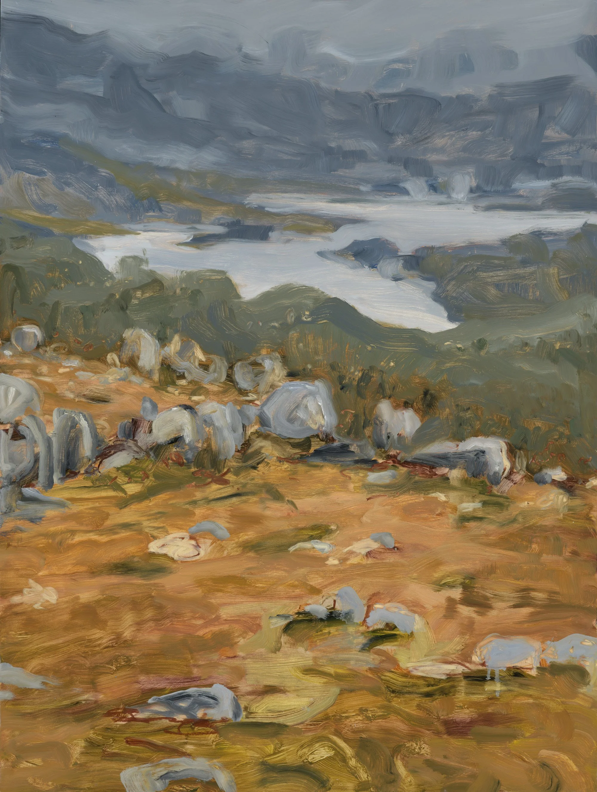Madeline Sewall - Distant Tarns