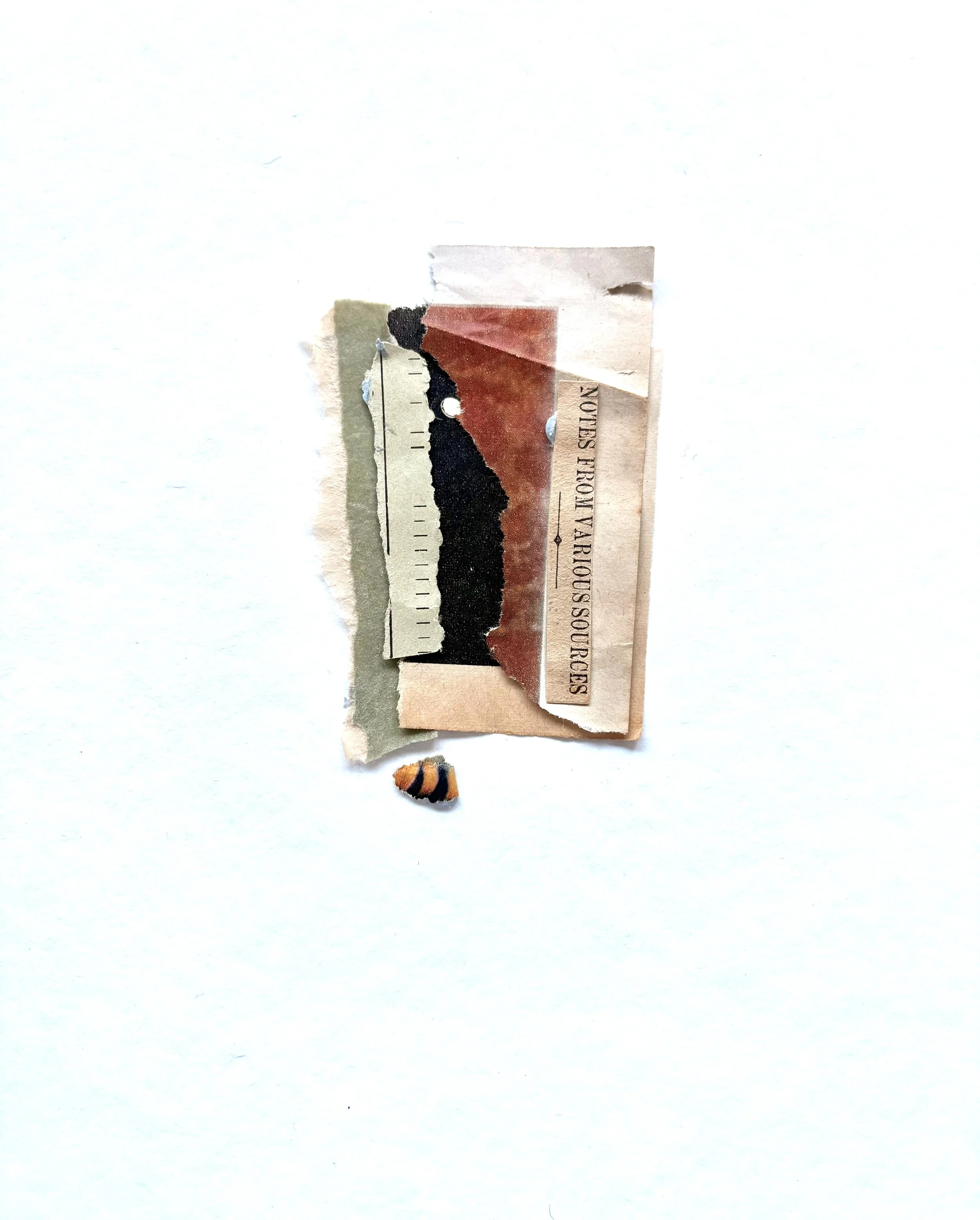 Helen Reeves - Notes From Vairous Sources