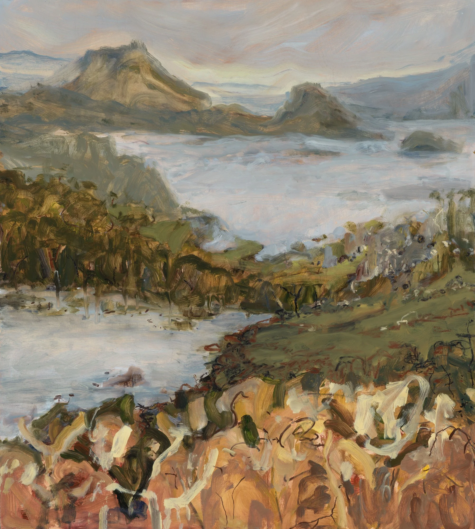 Madeline Sewall - Valley Fog