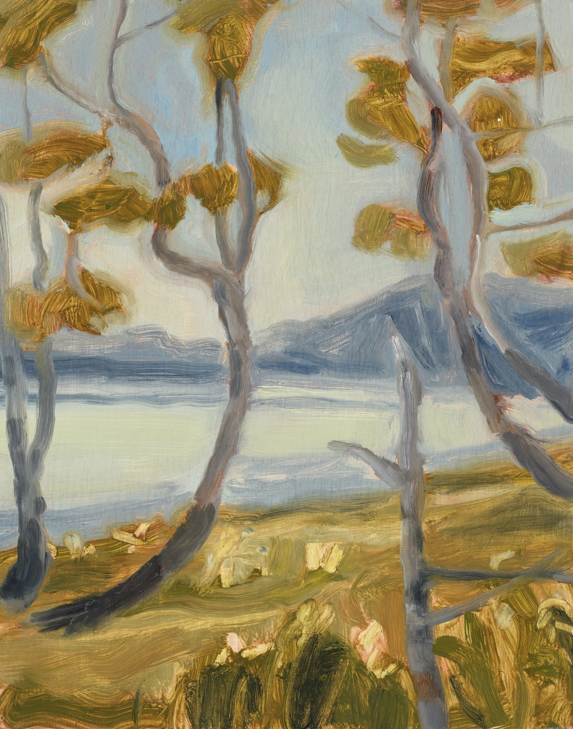 Madeline Sewall - Seaside Trees Study