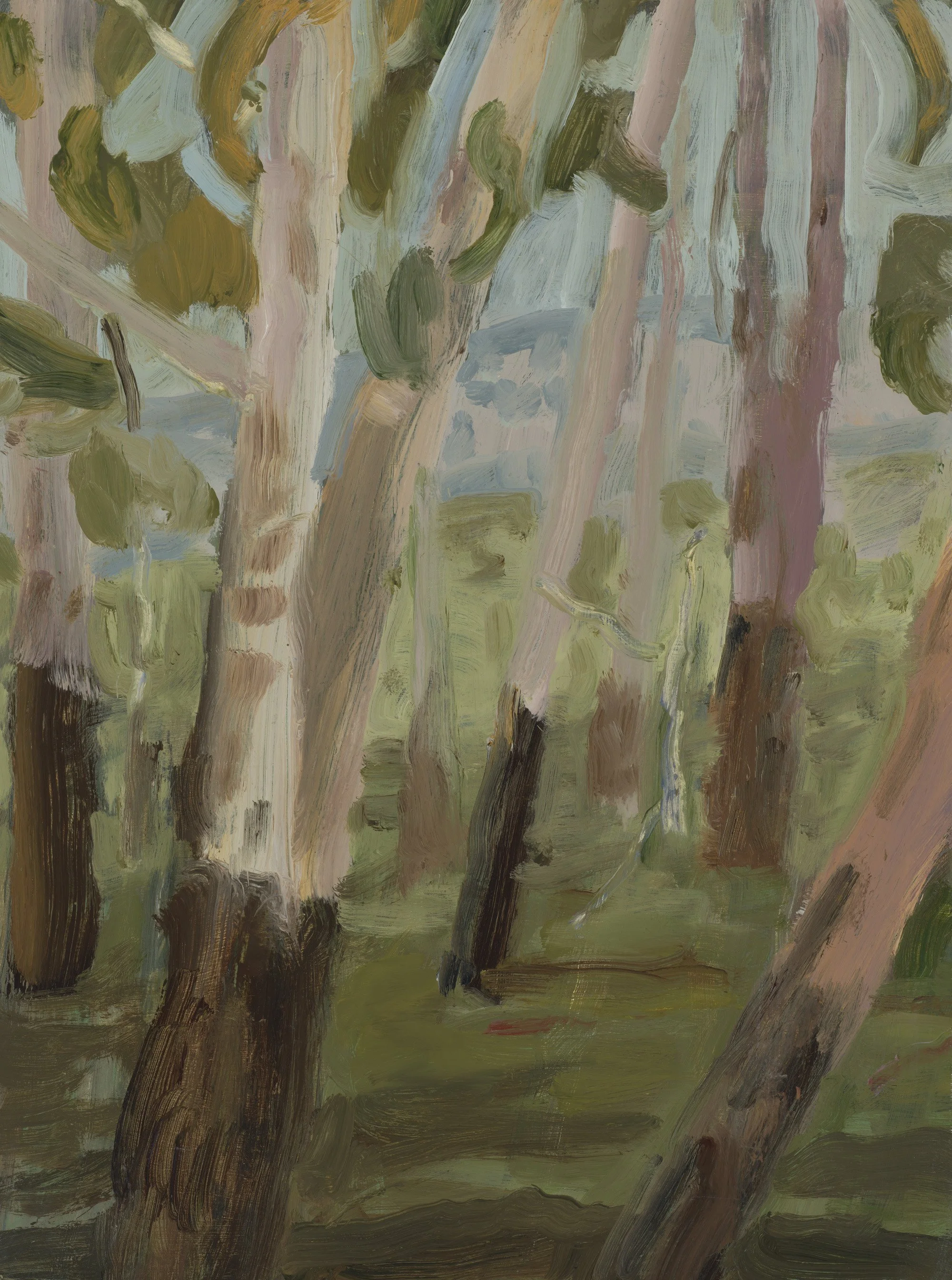 Madeline Sewall - Gums and Clearing