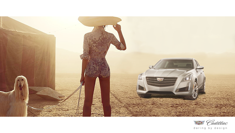 Cadillac_Print_Desert.png