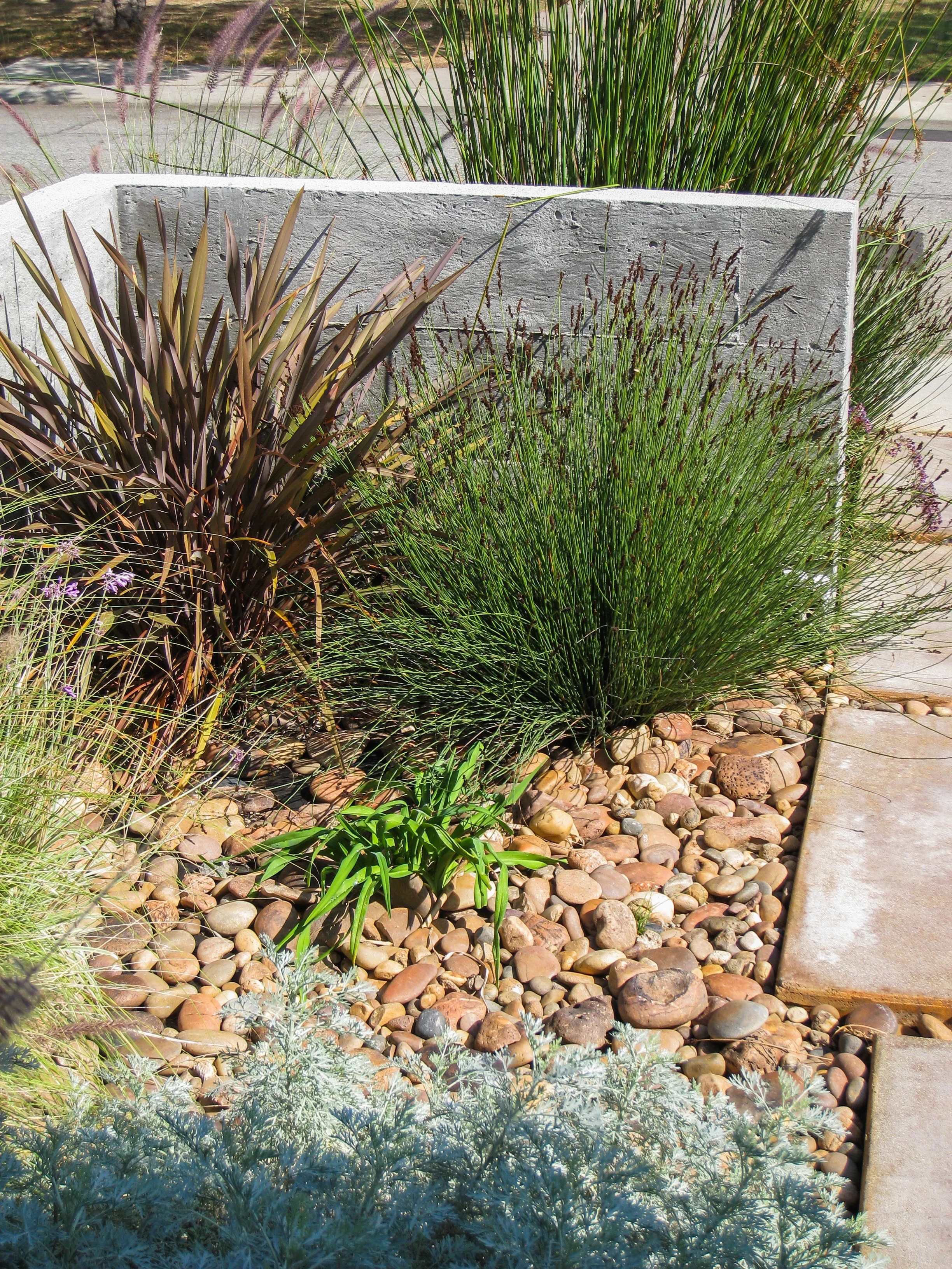 2008-10 Mt View -ext detail 008e.JPG