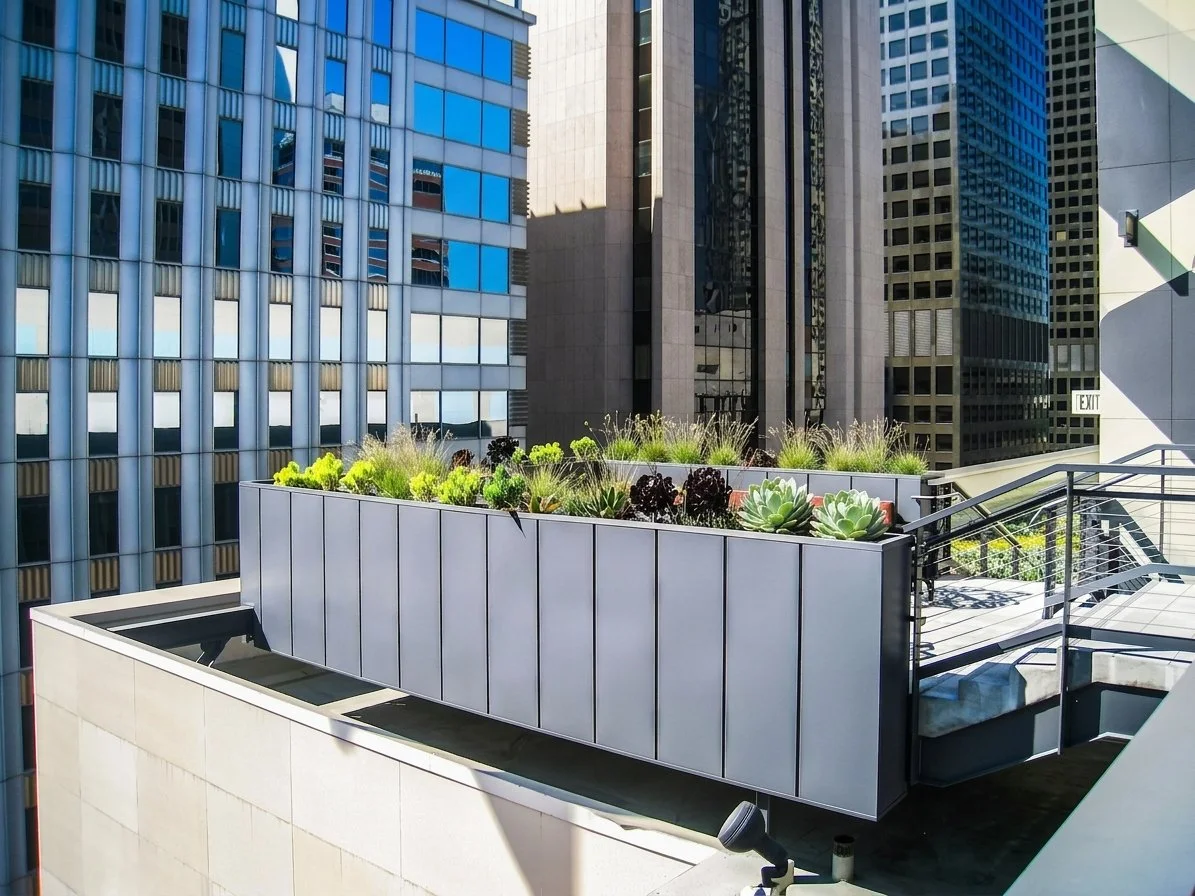 Pegasus Apartments -Rooftop
