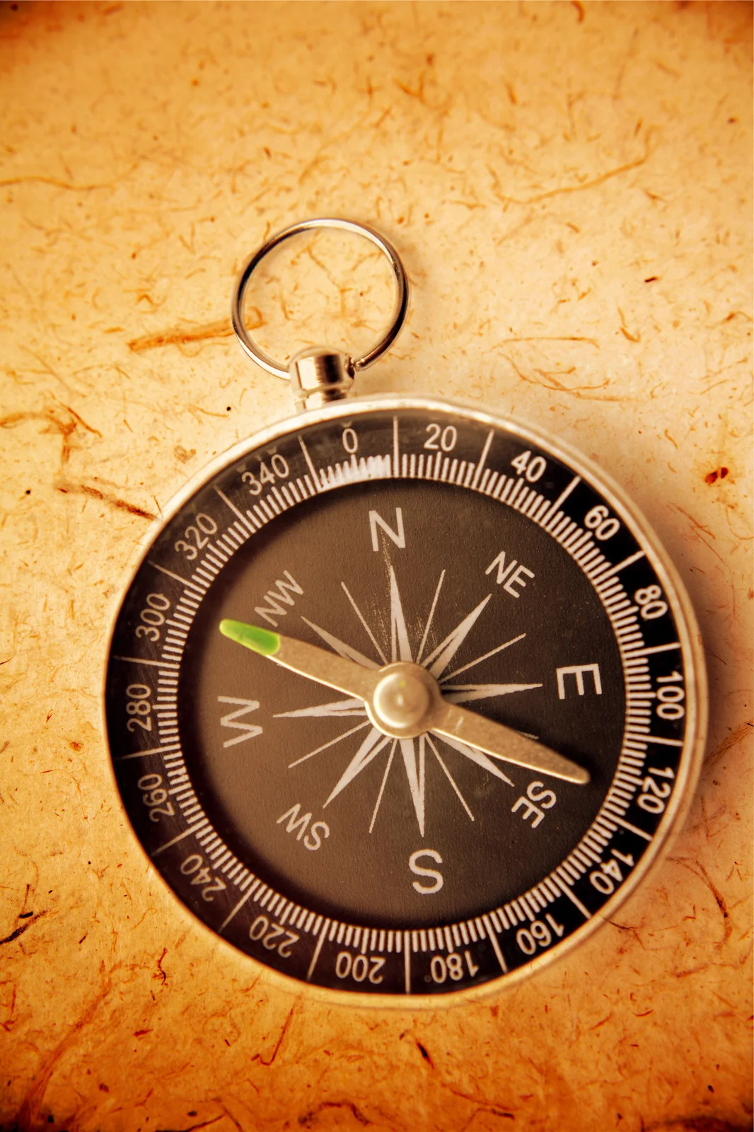 canstockphoto4363861.jpg