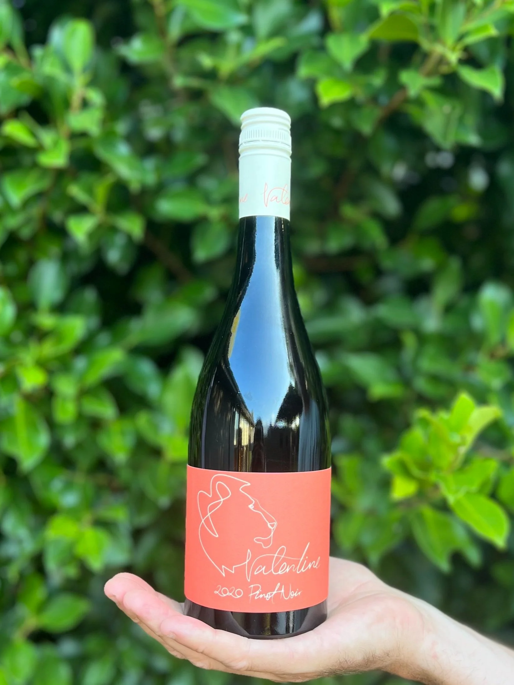 2020+Valentine+Pinot+Noir+Lone+Star+Creek+Upper+Yarra+Valley.jpg
