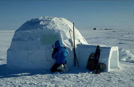 Igloo - Aurora Safari.jpg