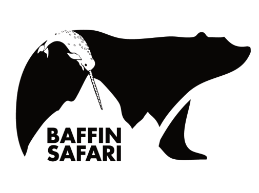 Baffin Safari
