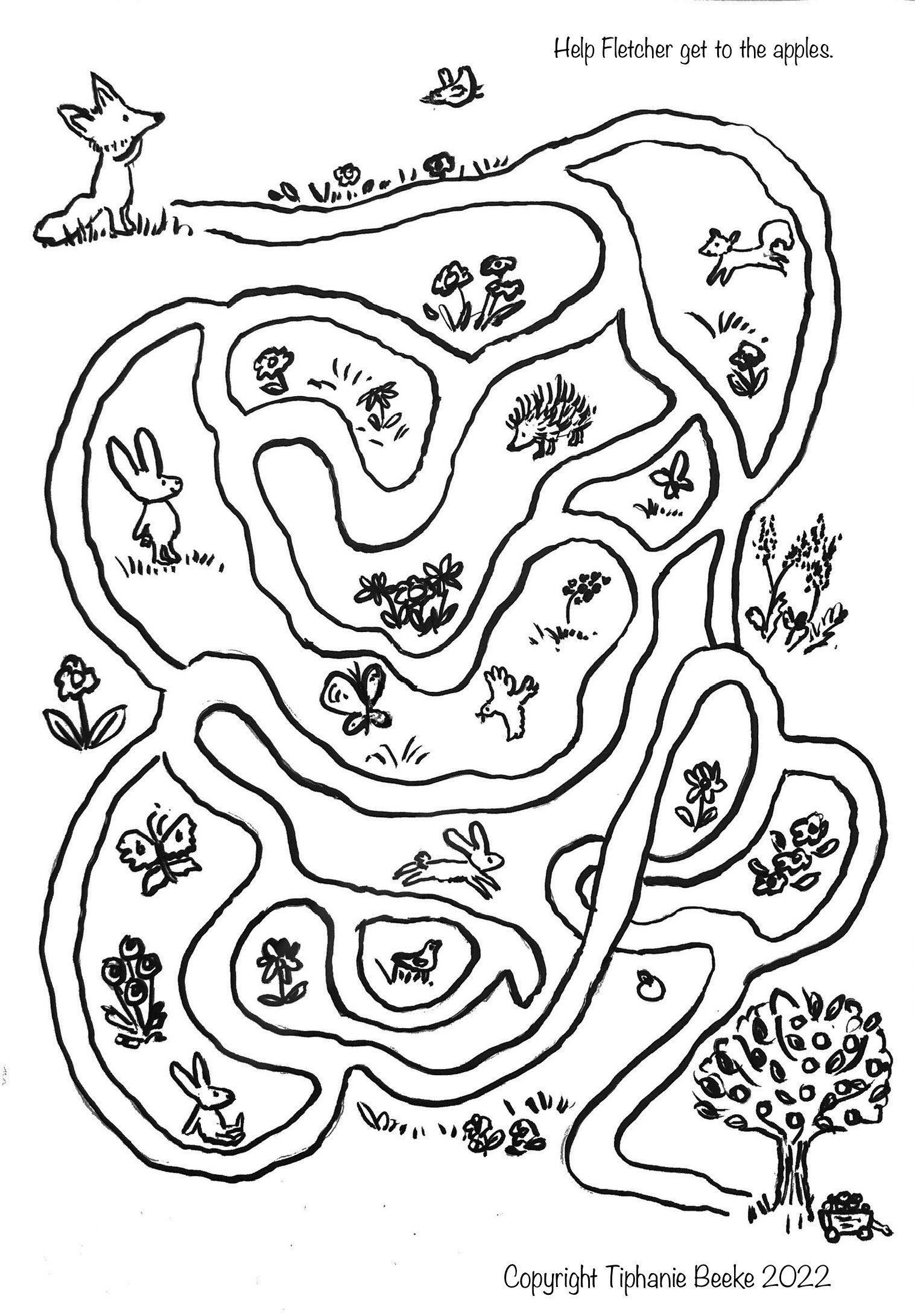 Fletcher Maze.JPG