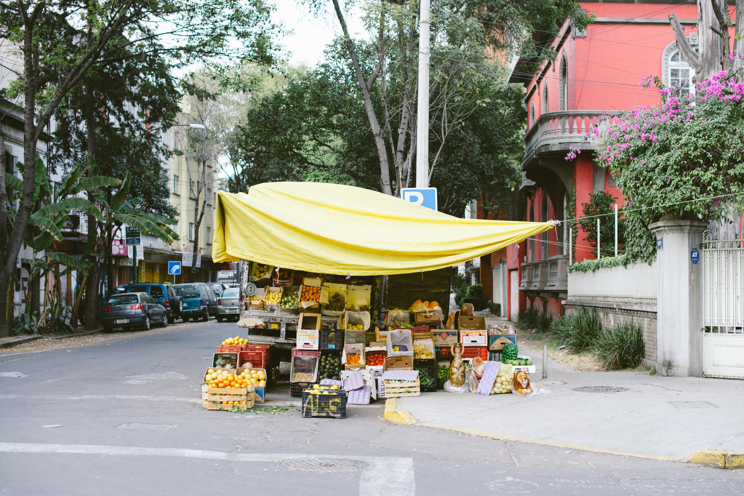 MexicoCity-photography-8947.jpg