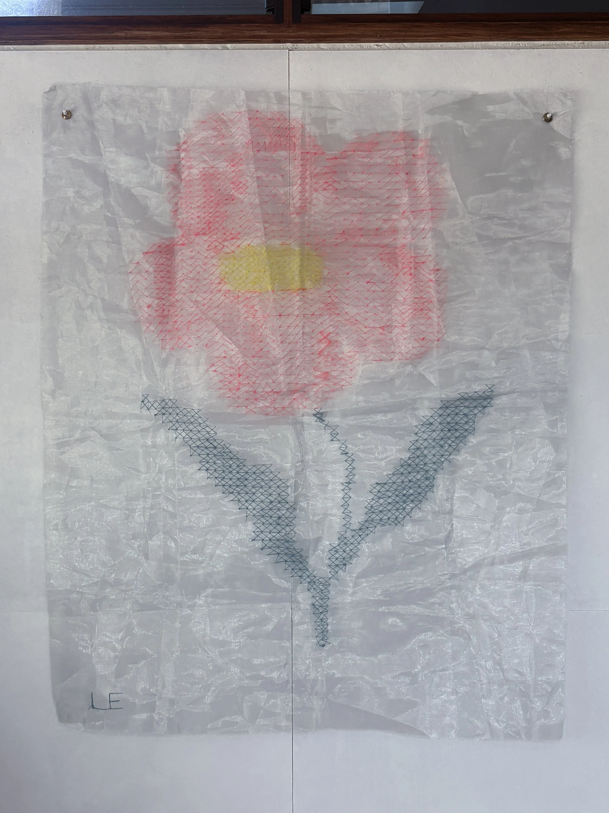 Home is where you know the names of the flowers