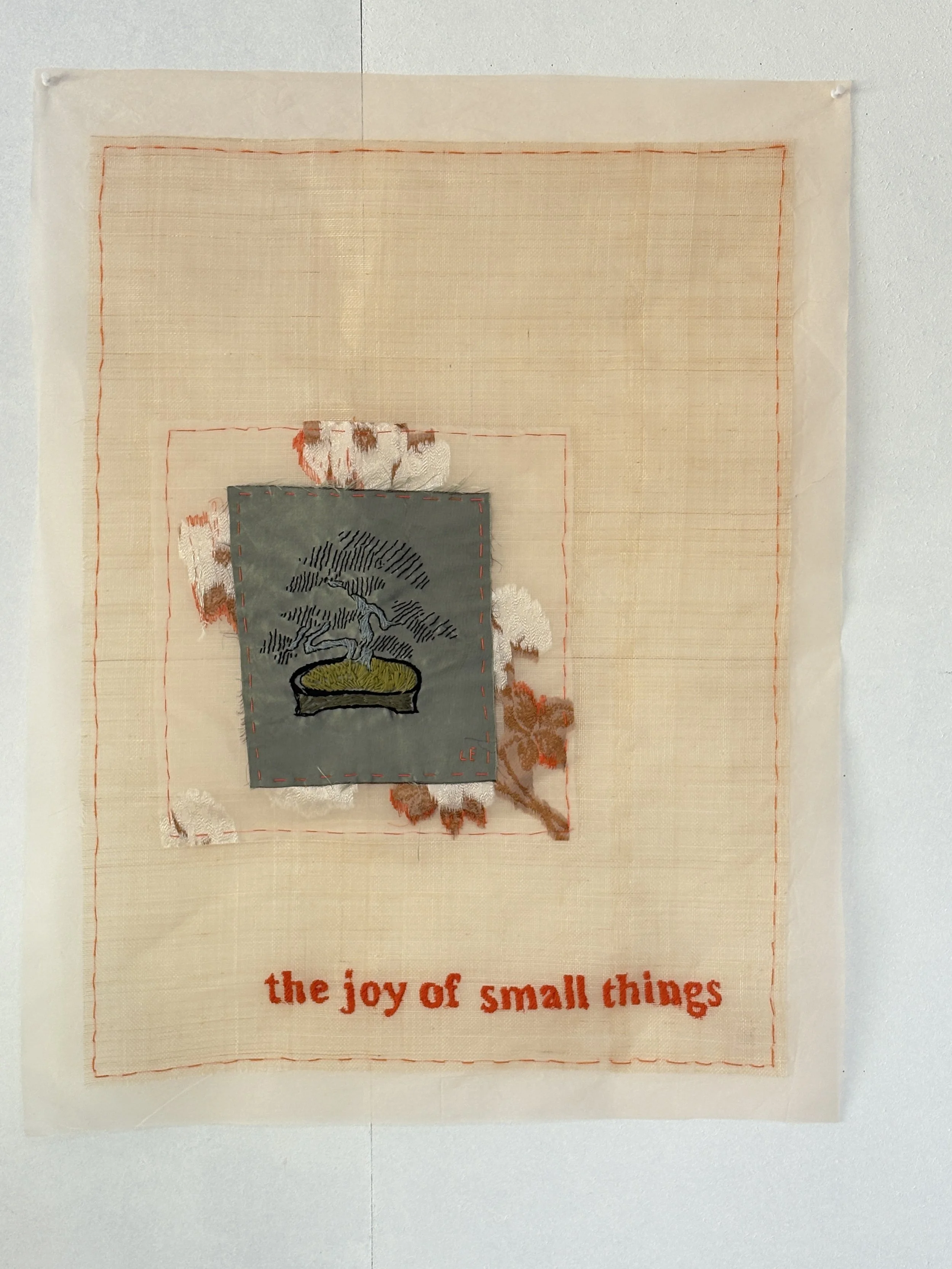 The Joy of Small Things