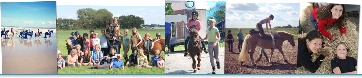 ponykamp_balk.jpg
