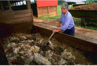 Farmer Bin Composting.png