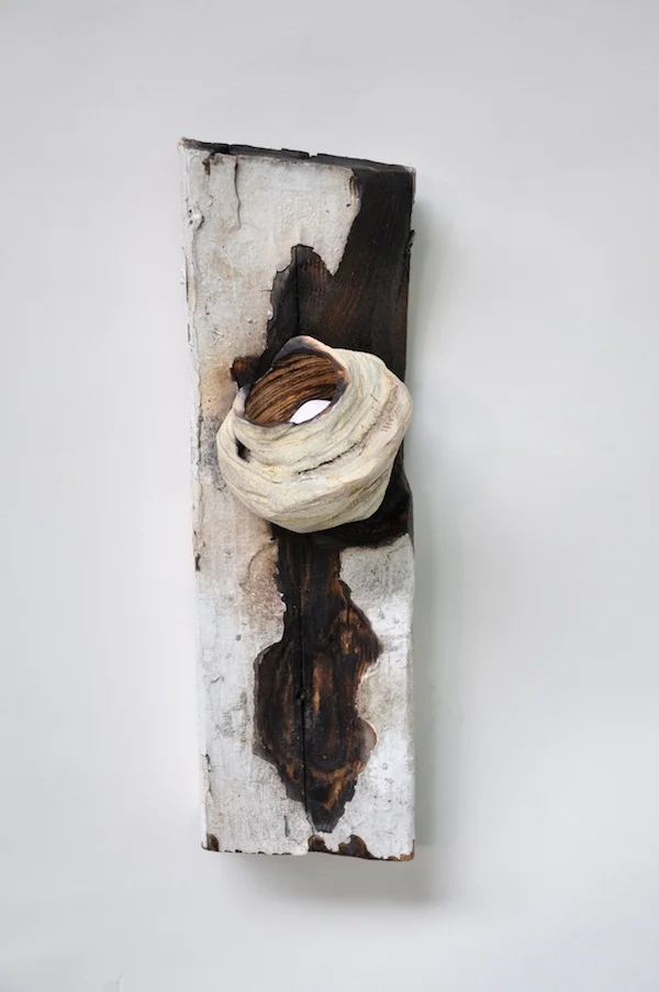 yellow swift nest.jpg